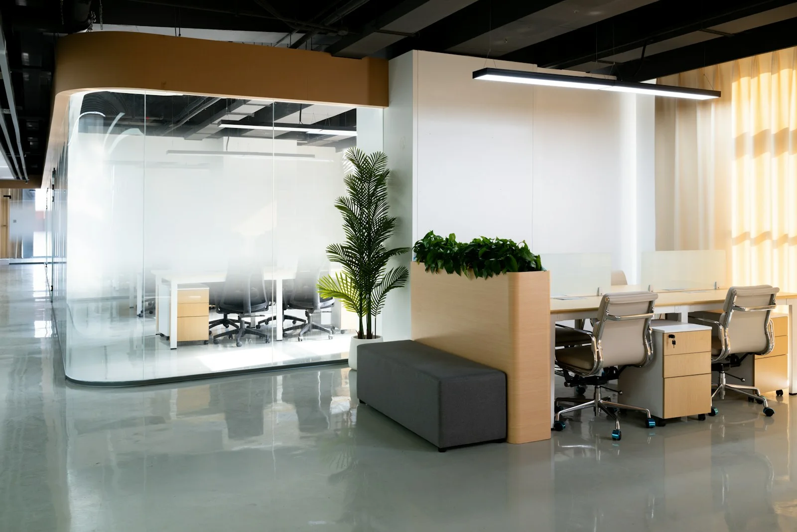 A bright, tidy office with desks, a planter and a polished floor